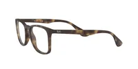 Ray-Ban Unisex Havana