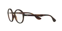 Ray-Ban Unisex Havana