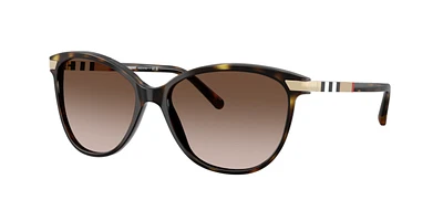 Burberry Woman Dark Havana