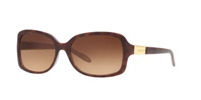 Ralph by Ralph Lauren Woman Havana Foncé