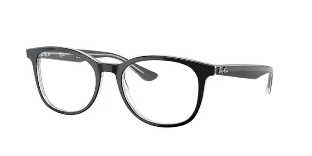 Ray-Ban Unisex Black On Transparent