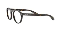 Ray-Ban Unisex Dark Havana