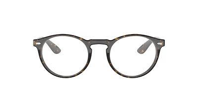 RB5283 Optics