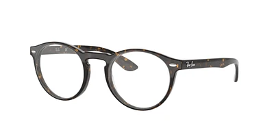 Ray-Ban Unisex Havana Foncé