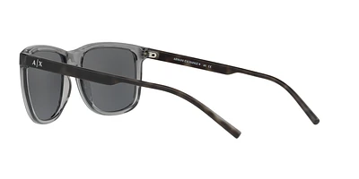AX4070S