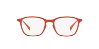 RB8955 Optique