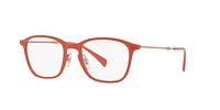 RB8955 Optique
