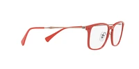RB8953 Optique