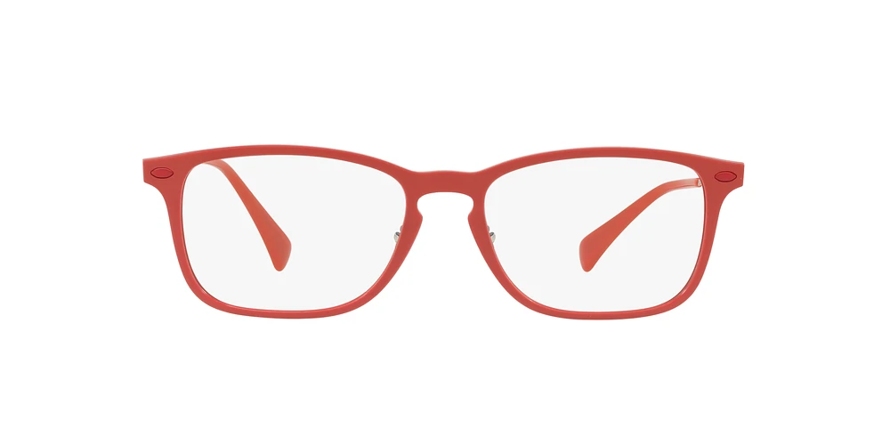 RB8953 Optique