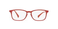 RB8953 Optique