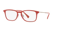 RB8953 Optique