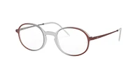 RB7153 Optique