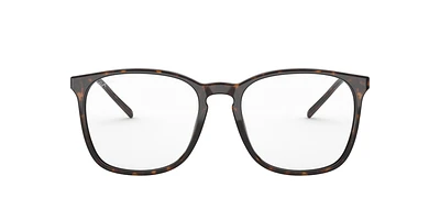 RB5387 Optics