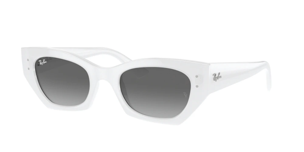 Ray-Ban Unisex White Snow