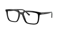 RB7239 Alain Optics