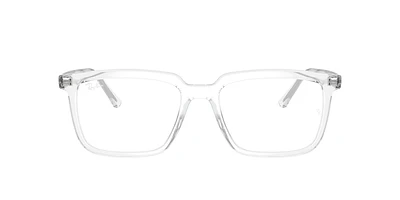 RB7239 Alain Optics