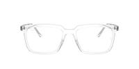RB7239 Alain Optics