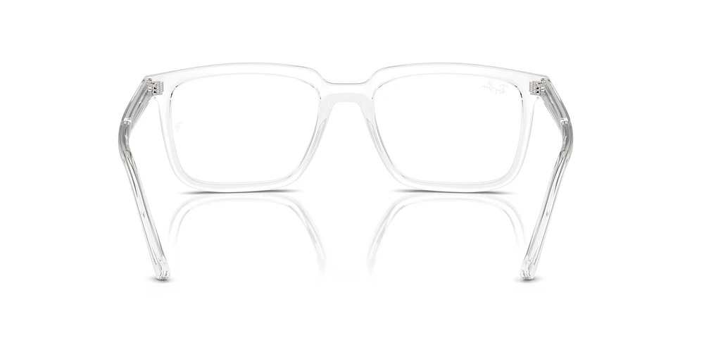 RB7239 Alain Optics