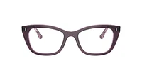 RB5433 Optics