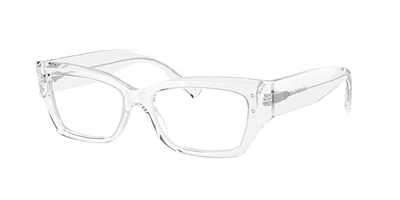 Dolce&Gabbana Woman Transparent