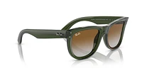 RBR0502S Wayfarer Reverse