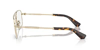 Burberry Man Light Gold