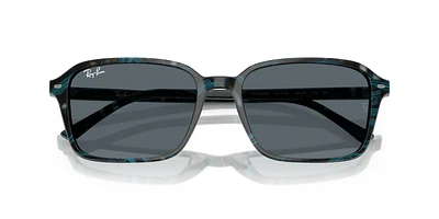 RB2231 Raimond
