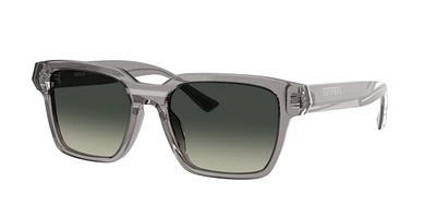 Ferrari Unisex Transparent Gris