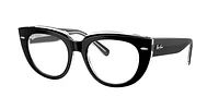 Ray-Ban Woman Black On Transparent