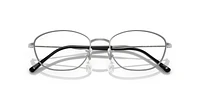 RB3749V Optics