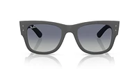 RB4840S Mega Wayfarer Liteforce