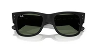 RB4840S Mega Wayfarer Liteforce