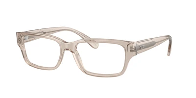 Diesel Unisex Transparent Taupe