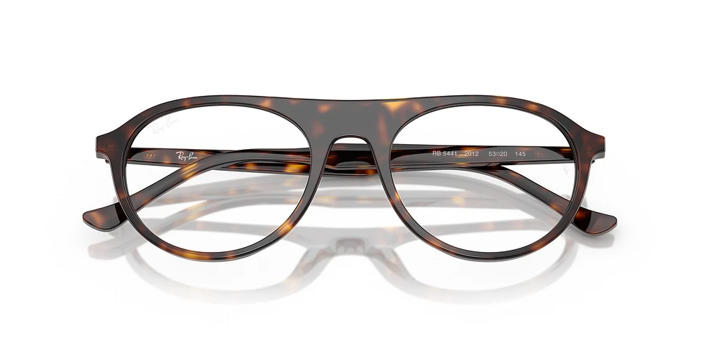 RB5441 Optique