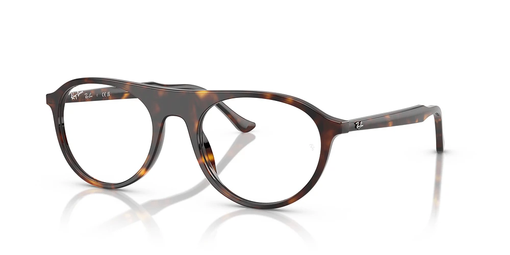 RB5441 Optique