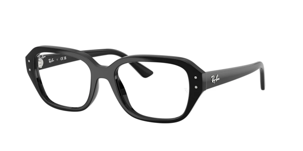 Ray-Ban Unisex Noir