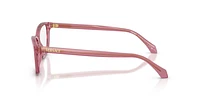 Versace Woman Transparent Amarena