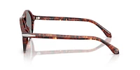 AR8236U