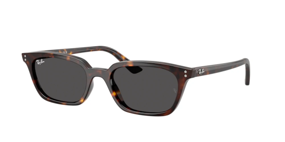 Ray-Ban Unisex Havana