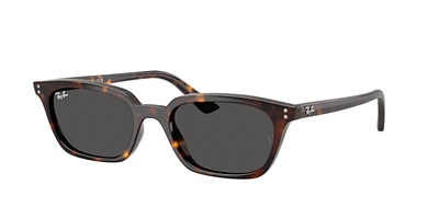 Ray-Ban Unisex Havana