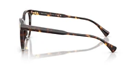 Ralph by Lauren Woman Shiny Dark Havana
