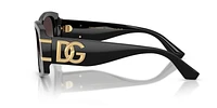DG4501