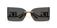 DG2319