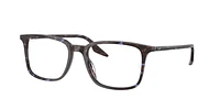RB5421 Optics