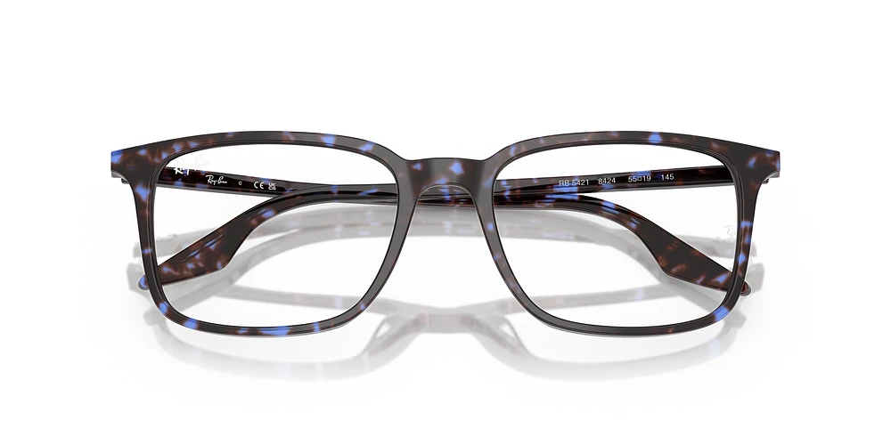RB5421 Optics