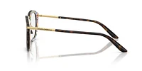 DG3410