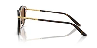 DG4492