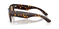 RB0840S Mega Wayfarer Summer Capsule