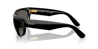 Ray-Ban Unisex Noir
