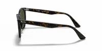 Ray-Ban Unisex Tortoise